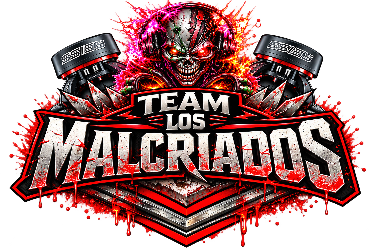 TEAM LOS MALCRIADOS