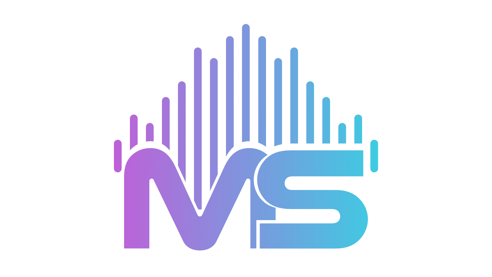 MS AUDIO